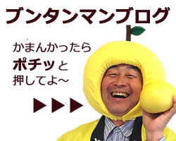 土佐のいごっそうとして紹介されています