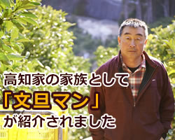 土佐のいごっそうとして紹介されています