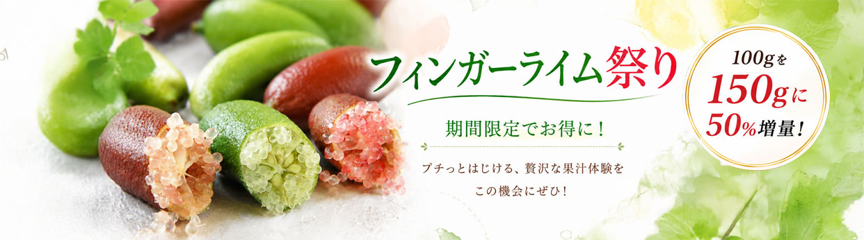 フィンガーライム　フルーツキャビア　増量祭