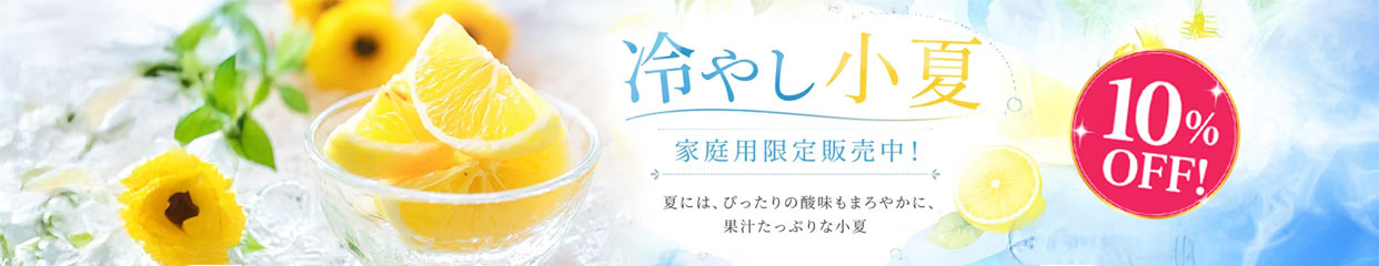 小夏　こなつ　日向夏　ニューサマーオレンジ