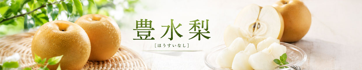 豊水梨　梨　高知県産