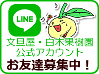 白木果樹園公式LINE