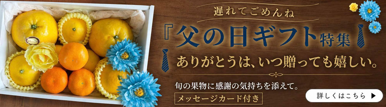 父の日ギフト　父の日　