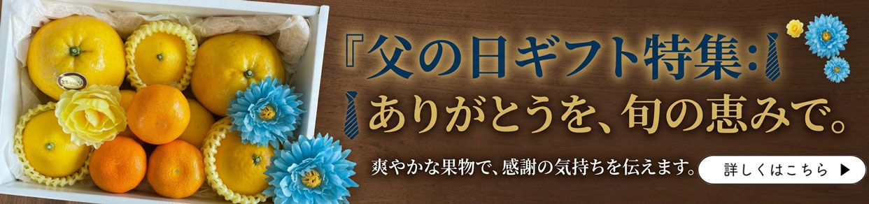 父の日ギフト　父の日　