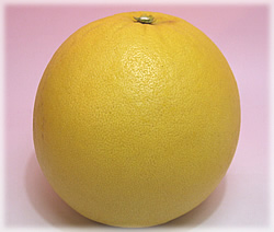 紅まどんなL~2Lサイズ