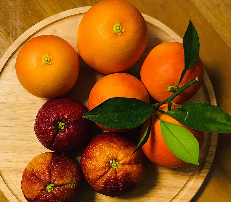 ブラッドオレンジ