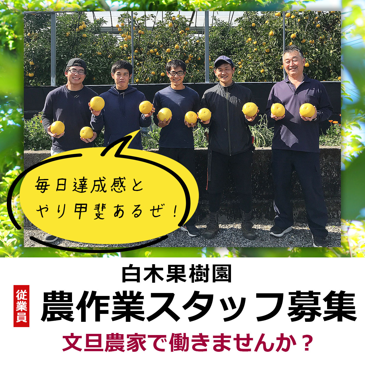 白木果樹園スタッフ