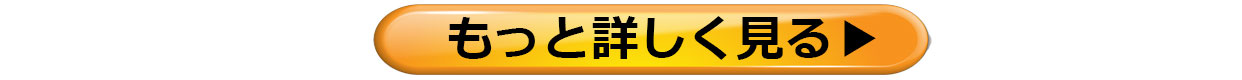 詳しく見る