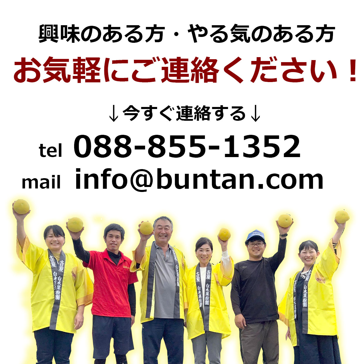 お電話で応募承ります088-855-1352