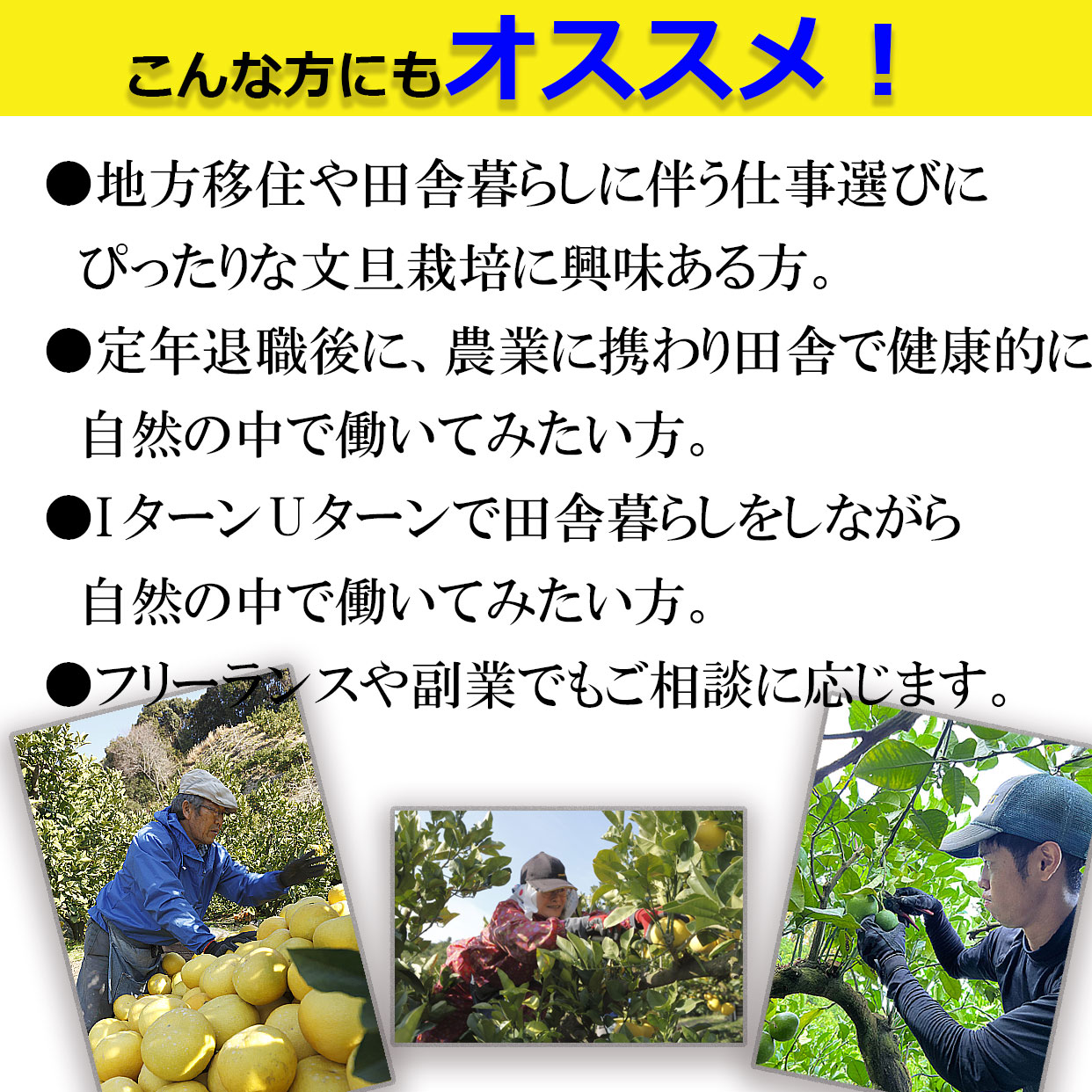 農作業スタッフ