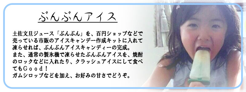 つめたくってきもちいい！土佐文旦ジュース「ぶんぶん」アイス