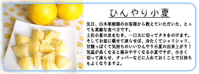 冷たくってシャリシャリ、気持ちいい！ひんやり小夏