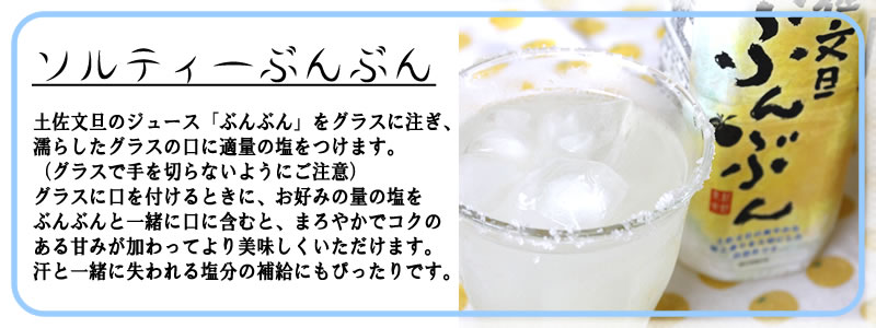 ひんやりまろやか、ソルティぶんぶん