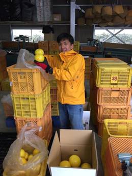 荷造り中の大北君