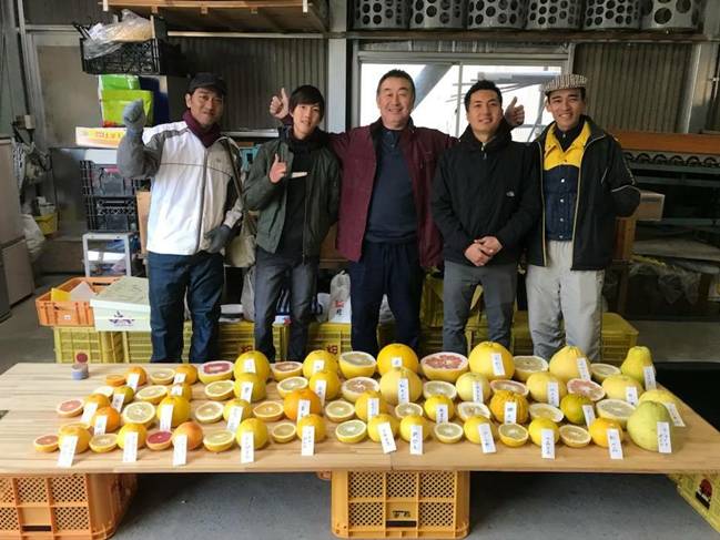 文旦食べ比べ会