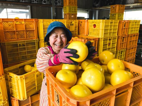 白木久子さんと土佐文旦