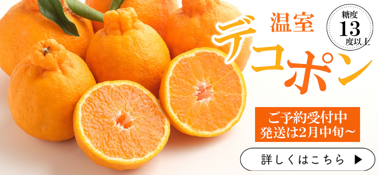 デコポン　でこぽん　しらぬい　不知火　糖度　13度以上