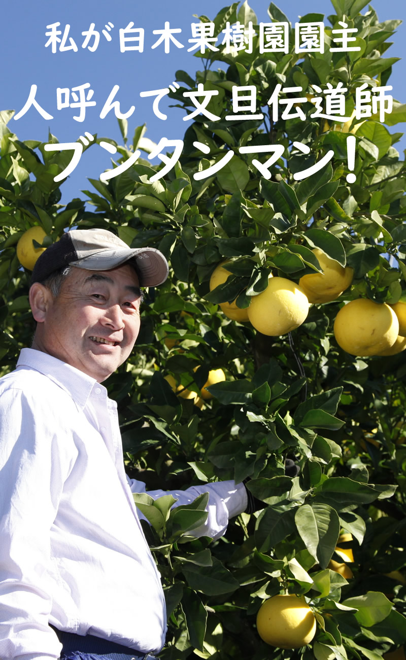 白木果樹園園主、人呼んで文旦伝道師ブンタンマン！
