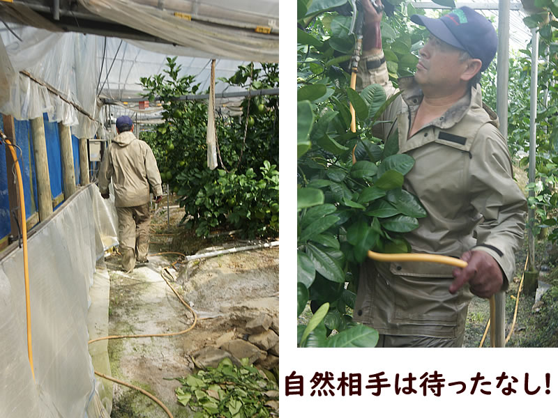 自然相手は待ったなし！