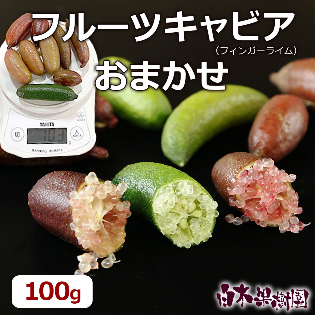 フルーツキャビア（フィンガーライム）　ミックスセット約100g