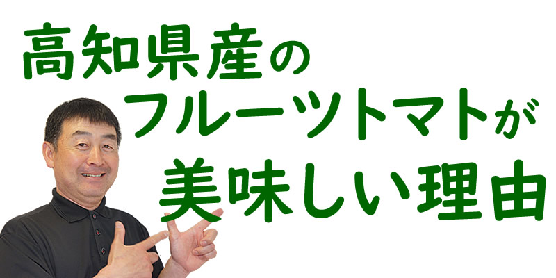 高知自慢のフルーツトマトが美味しい理由