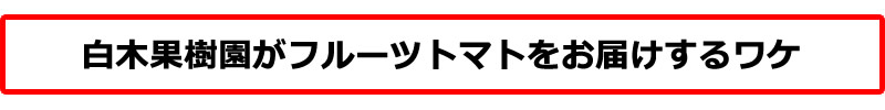 フルーツトマトをお届けする理由