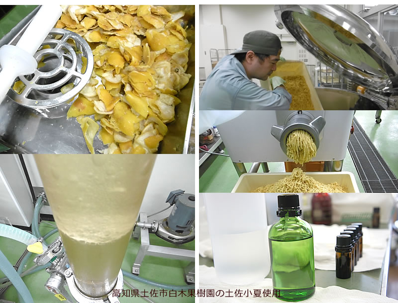 抽出作業の様子