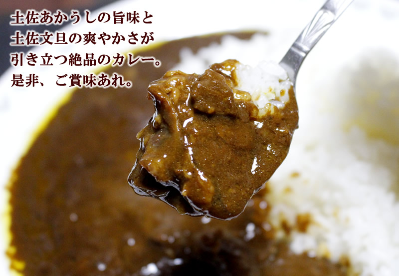 スプーンですくった土佐あかうしと文旦のカレー