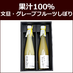果汁100％無添加 文旦・グレープフルーツしぼりセット