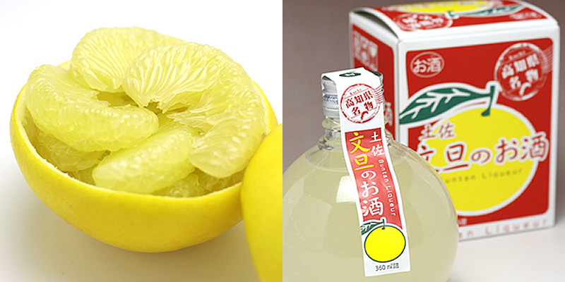 文旦ボトルと土佐文旦