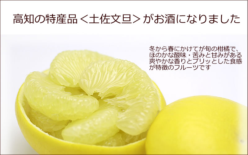 高知の特産品・土佐文旦