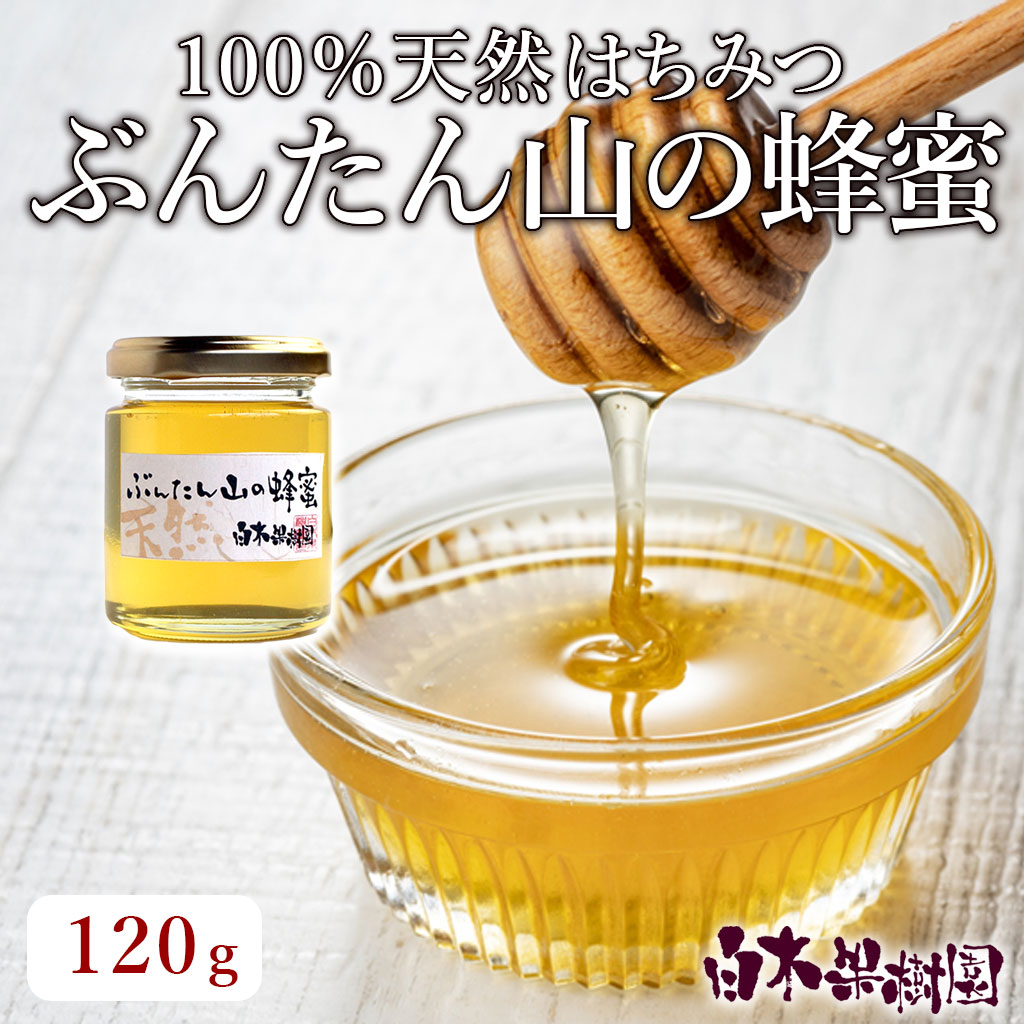 ぶんたん山の蜂蜜約120ｇ