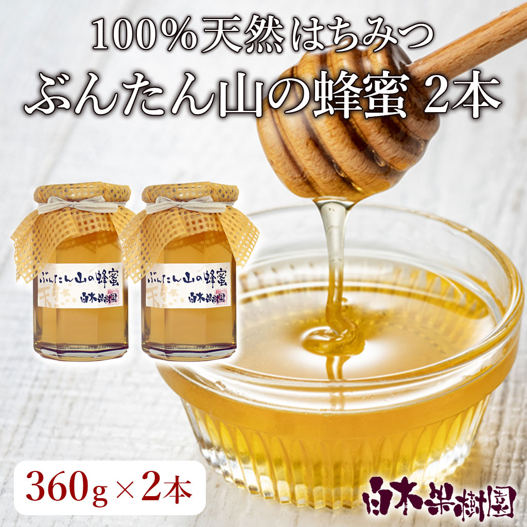 ぶんたん山の蜂蜜約360ｇ