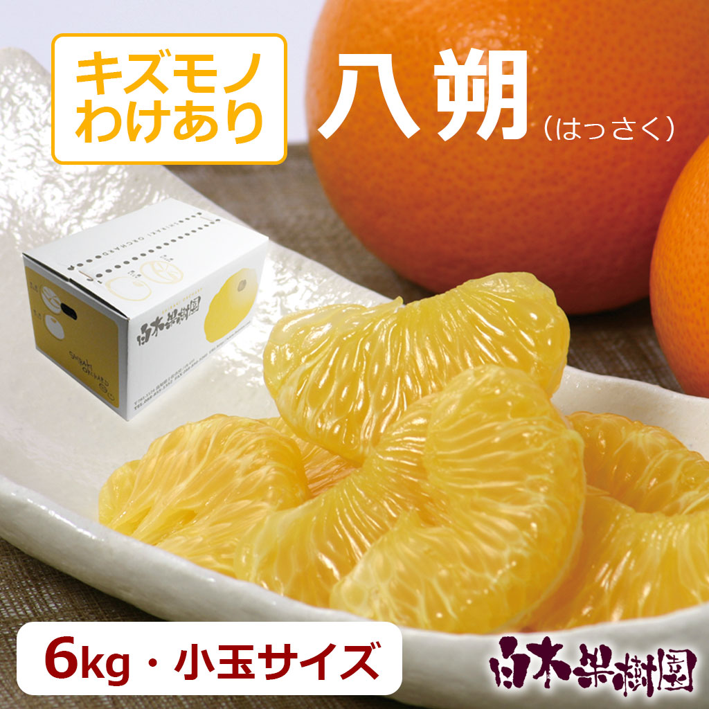 八朔　小玉ご家庭用　約6kg