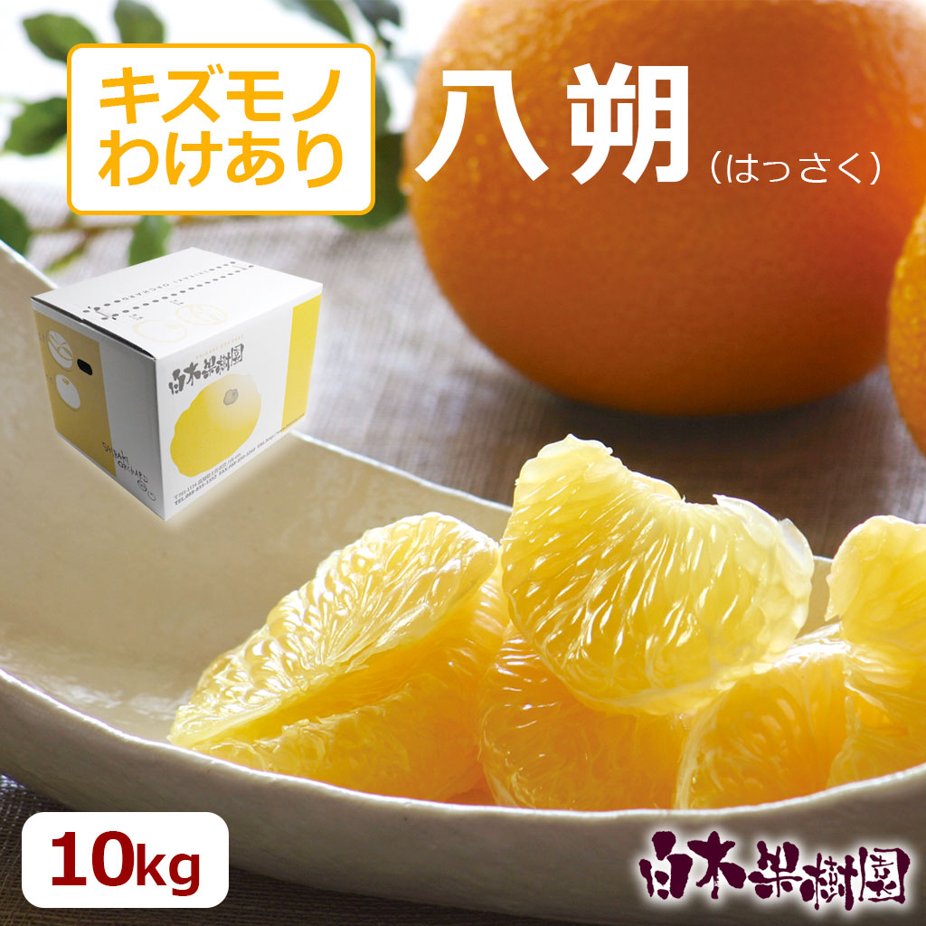 八朔　ご家庭用　約10kg
