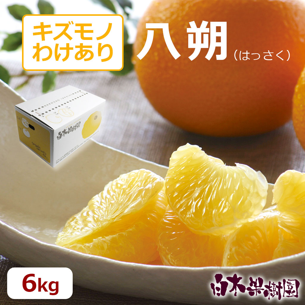 八朔　ご家庭用　約6kg