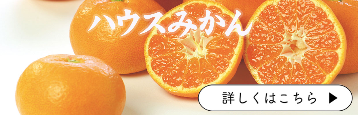 ハウスみかん　お中元　夏ギフト　贈答