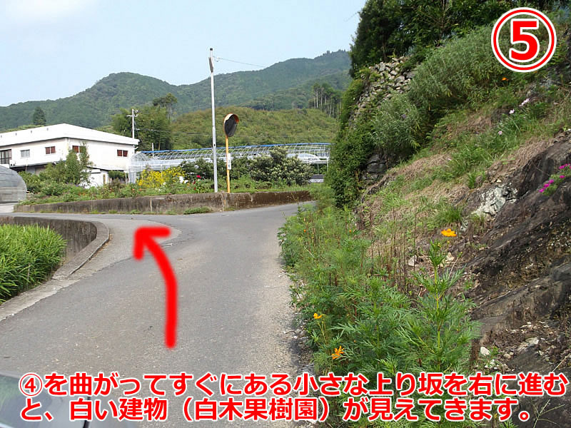 曲がれば、すぐです