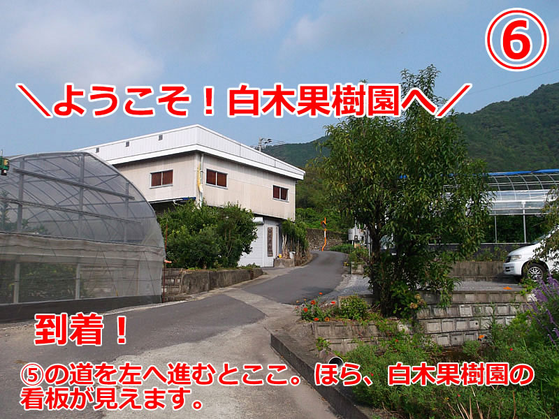 迷子になったら、お電話ください！