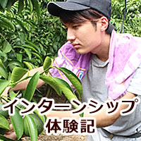 インターンシップ体験記