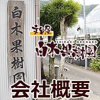 白木果樹園の会社概要