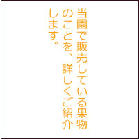 白木果樹園で販売している果物のことを詳しくご紹介します