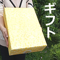 ギフトサービスについて