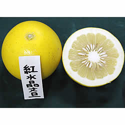 紅水晶文旦