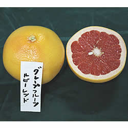 ｸﾞﾚｰﾌﾟフルーツスタールビー