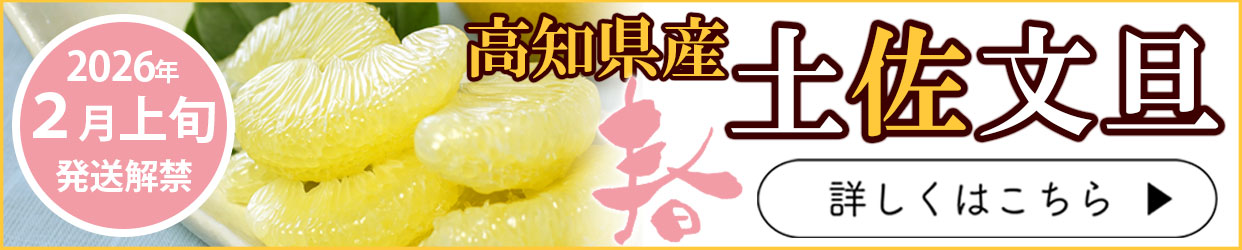 土佐文旦　ぶんたん　分担