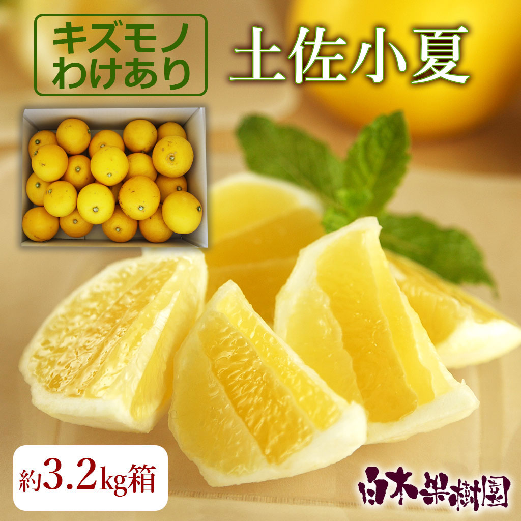 土佐小夏わけありご家庭用　約3.5kg