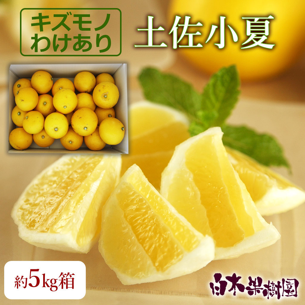 土佐小夏わけありご家庭用　約5kg