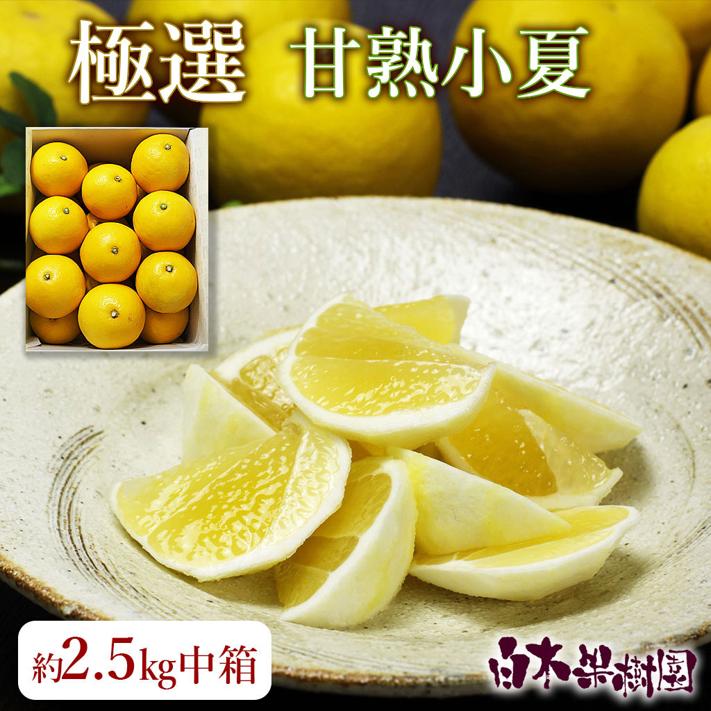 極選甘熟とさ小夏　約2.7kg