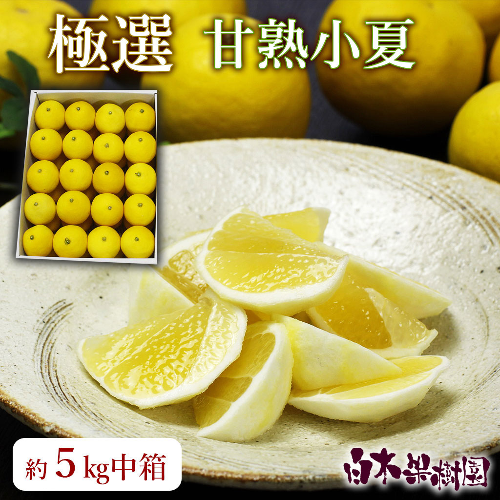 極選甘熟とさ小夏　約5kg